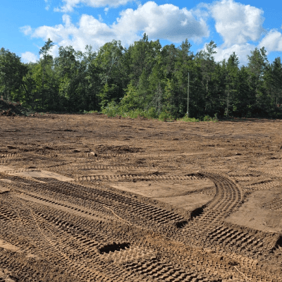 LAND CLEARING